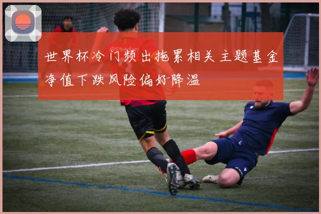 世界杯冷门频出拖累相关主题基金净值下跌风险偏好降温