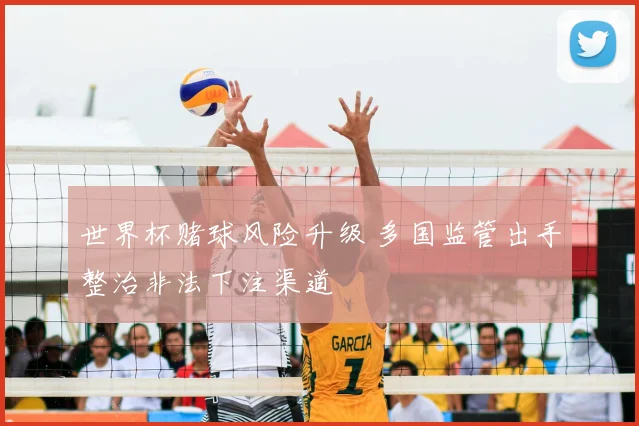 世界杯赌球风险升级 多国监管出手整治非法下注渠道