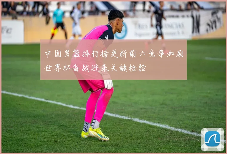 中国男篮排行榜更新前六竞争加剧世界杯备战迎来关键检验
