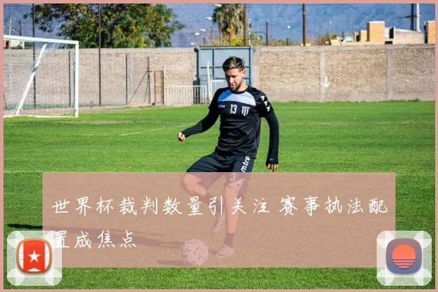世界杯裁判数量引关注 赛事执法配置成焦点