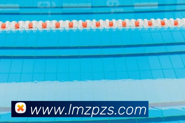 up体育官网服务体系